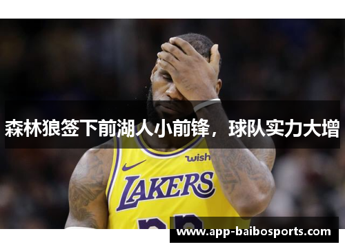 森林狼签下前湖人小前锋，球队实力大增